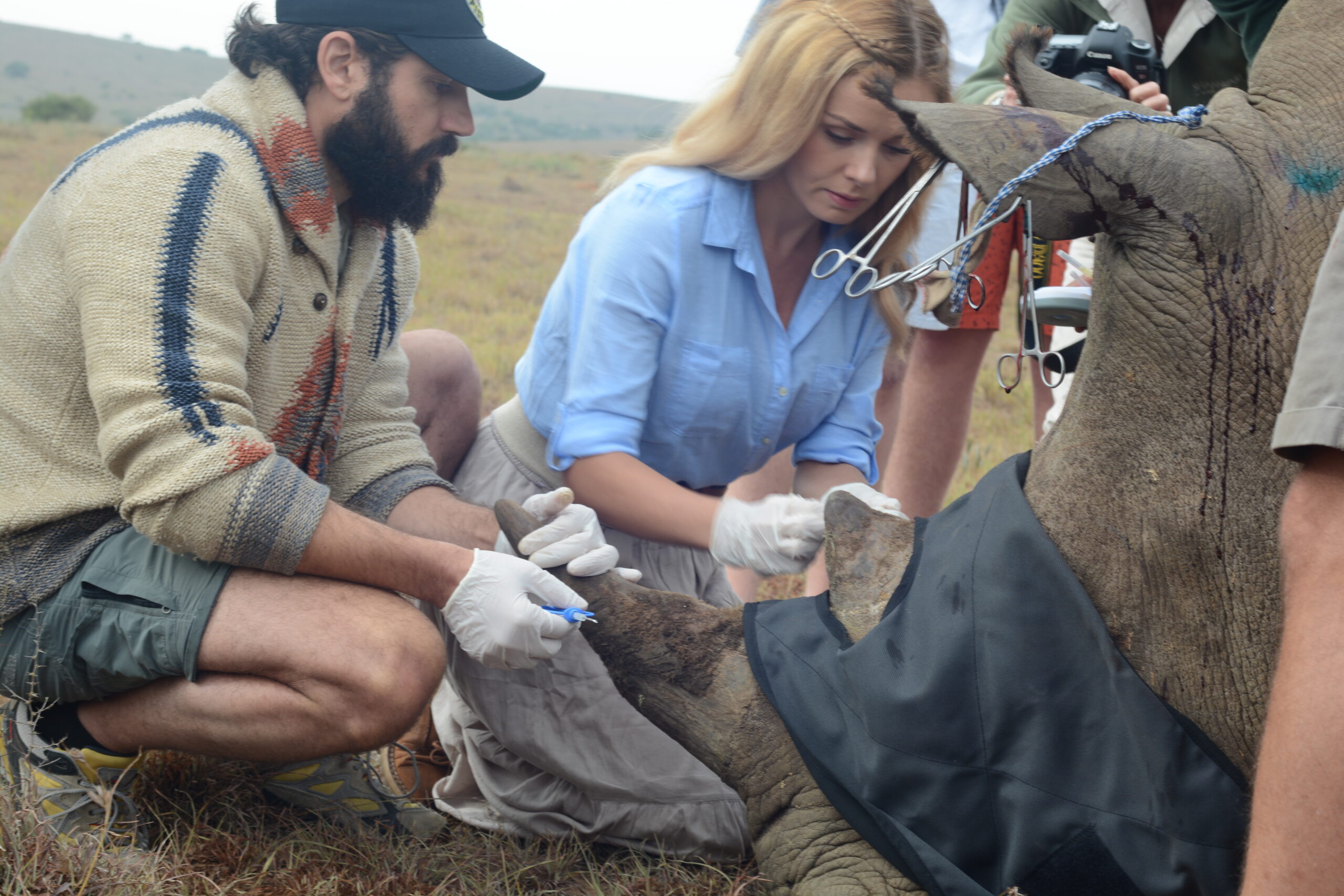 Katherine Jenkins & Andrew Levitas working with Tusk Foundation helping a rino